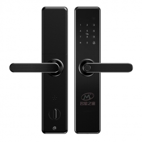 M4-Fingerprint lock