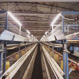 Farming factory lightingapplication-waterproof tube